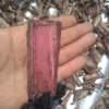 Mimosa Hostilis Root Bark (MHRB) – Premium Quality, Ethically Sourced